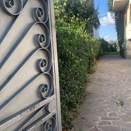 Villa Maximo Apartment Albano Laziale Eksteriør billede