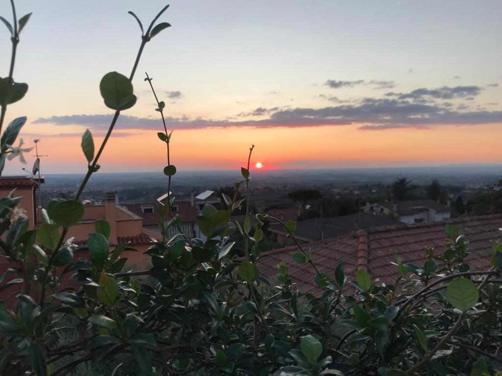 Villa Maximo Apartment Albano Laziale Eksteriør billede