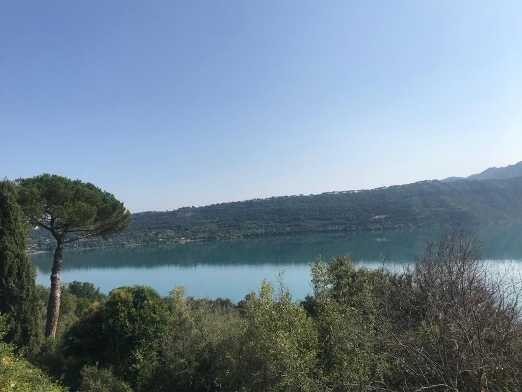 Villa Maximo Apartment Albano Laziale Eksteriør billede