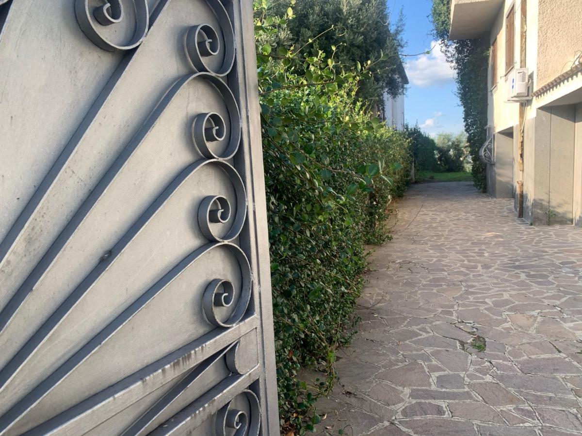 Villa Maximo Apartment Albano Laziale Eksteriør billede